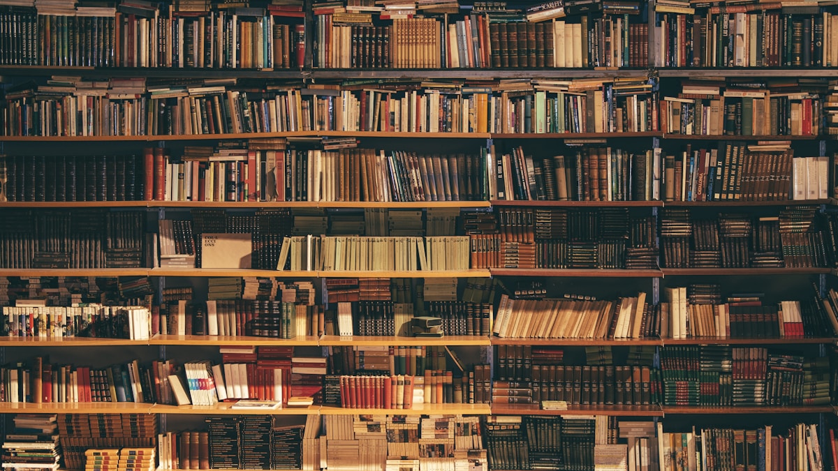 Archiv & Katalog